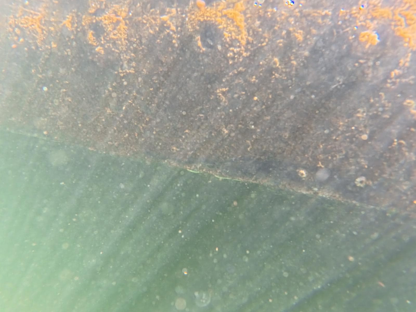 Hull Cleaning before